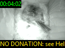 00:04:02