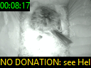 00:08:17