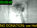 00:08:48