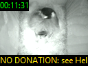 00:11:31