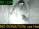 00:12:04