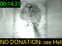 00:14:31