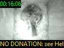 00:16:06