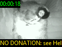 00:00:18