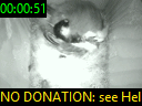 00:00:51