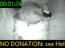 00:01:24