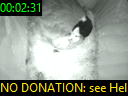 00:02:31