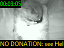 00:03:05