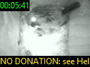 00:05:41