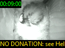 00:09:00