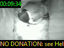 00:09:34