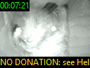 00:07:21