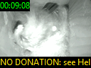 00:09:08