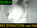00:09:41
