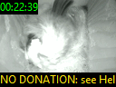 00:22:39