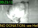 00:23:13