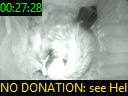 00:27:28