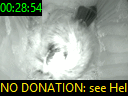 00:28:54