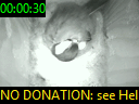 00:00:30