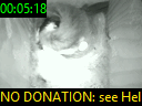 00:05:18