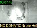 00:07:45