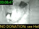 00:08:47