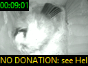 00:09:01