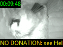 00:09:48