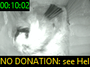 00:10:02