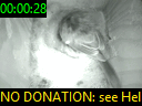 00:00:28