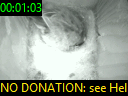 00:01:03