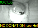 00:01:36