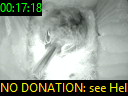 00:17:18