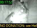 00:17:52