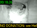 00:18:26