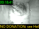 00:18:41