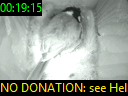 00:19:15