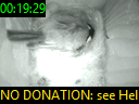 00:19:29