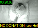 00:20:03