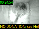 00:24:54