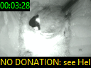 00:03:28