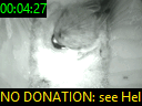 00:04:27