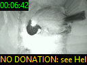 00:06:42