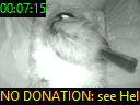00:07:15