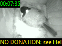 00:07:35