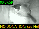 00:07:59