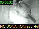 00:08:32