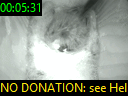 00:05:31