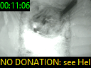00:11:06