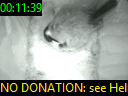 00:11:39